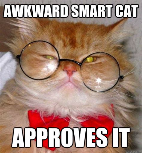 Awkward Smart Cat Approves it - Awkward Smart Cat - quickmeme