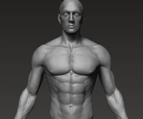 ArtStation - Anatomically correct muscular male body Low and High Poly Low-poly 3D model | Resources