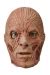 Freddy Krueger Latx Adult Mask