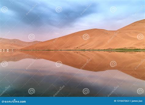 Badain Jaran Desert stock image. Image of acacia, dawn - 131647263