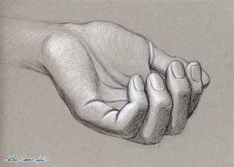 Pin by mokanna on ~ just free ~ | How to draw hands, Human anatomy drawing, Life drawing