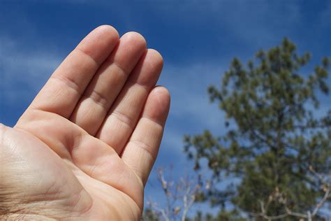 Free Images : hand, sky, finger, close up, sense, human action 4752x3168 - - 355895 - Free stock ...
