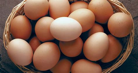 Method may help keep raw eggs safe - FOODStuff SA