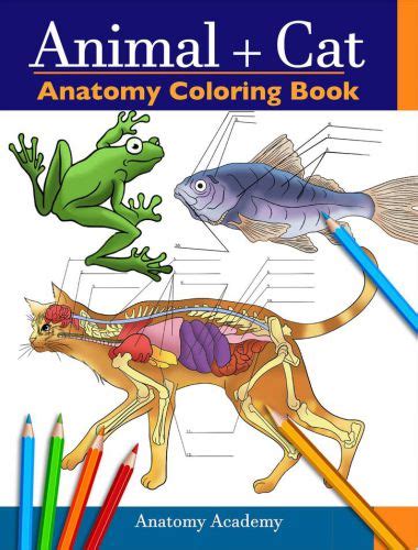 Animal Cat Anatomy Coloring Book 1st Edition