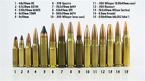 Oddball ar15 cartridges | Mississippi Gun Owners - Community for ...