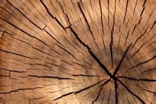 Cortar la textura de madera Stock de Foto gratis - Public Domain Pictures