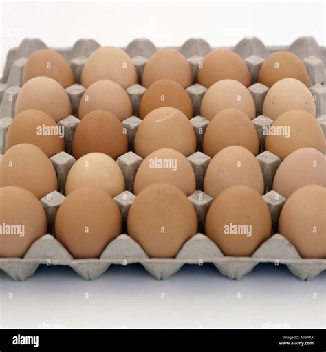 organic eggs in a carton Stock Photo - Alamy