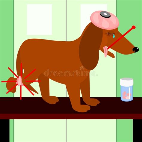 Dog with a hurt leg. stock vector. Illustration of temperature - 48539164