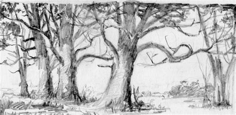 Forest Sketch Easy at PaintingValley.com | Explore collection of Forest Sketch Easy