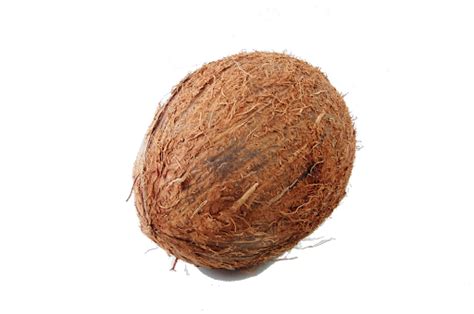 Full Coconut Transparent PNG - PNG Play