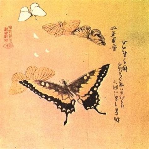 The Art of the Japanese Butterfly - HubPages