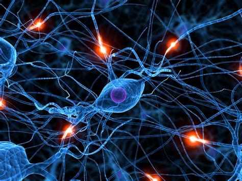 Neural Network Wallpapers - 4k, HD Neural Network Backgrounds on ...