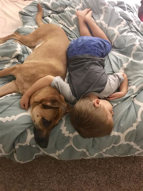 A sleeping boy and his dog : r/aww