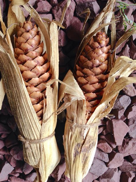 Fall Halloween Crafts, Fall Crafts Diy, Fall Diy, Corn Husk Crafts, Pine Cone Crafts, Acorn ...