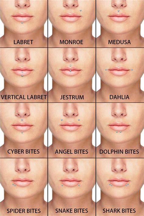 Lip Piercings Guide | Lip piercing, Guys with lip piercings, Different lip piercings