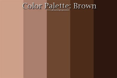 Brown and Bronze Color Palette