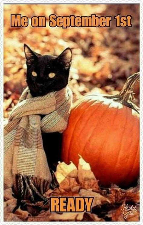 30 Fall Memes for the Autumn-Obsessed - Funny Fall Memes