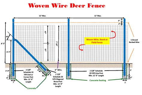 Study Indicates I-80 Deer Fence Effective | Lapin Law Offices