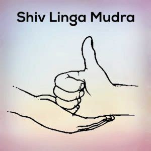 Shiva Linga Mudra Learn its Benefits and steps - nexoye