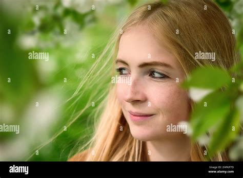 Portrait of beautiful smiling woman in nature framed by blurred branches with fresh green leaves ...