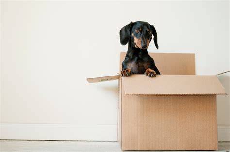 Movers, Moving Services, Packing Materials: Austin, TX: ATX Movers