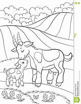 Mountain Goat Coloring Pages At GetColoringscom  Free Printable sketch template