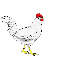 Pollos y Gallinas: Imágenes Animadas, Gifs y Animaciones ¡100% GRATIS!