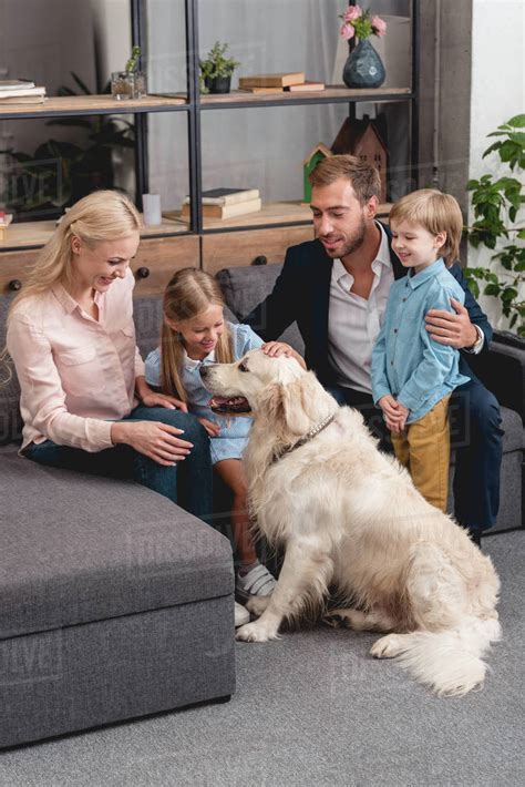 happy young family playing with dog while sitting on couch at home - Stock Photo - Dissolve