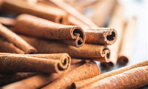 Cassia vs Ceylon Cinnamon: What’s the Difference? - A-Z Animals