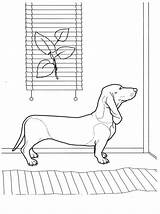 16 Best Dachshund Coloring Pages Images  Dachshund Coloring sketch template