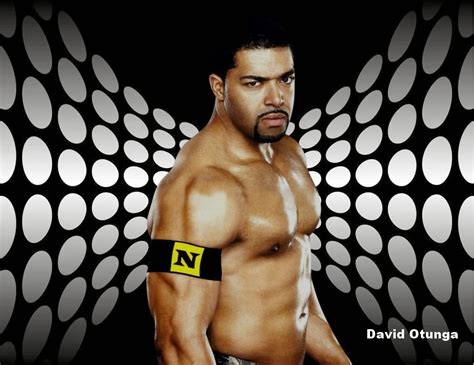 David Otunga Hd Wallpapers Free Download