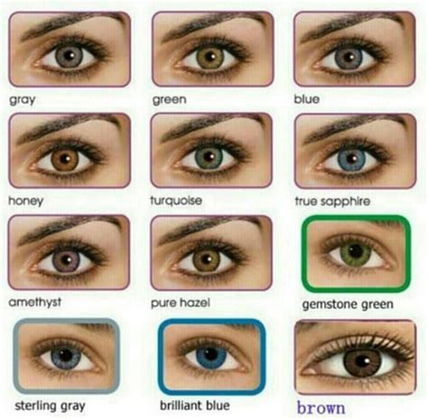Common Color Of Eyes | lykos.co