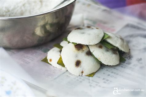 putu piring - A Kitchen Cat