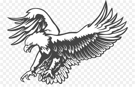 Eagle Line Art Vector at Vectorified.com | Collection of Eagle Line Art Vector free for personal use