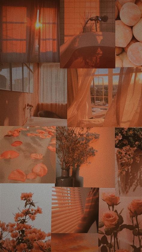 Aesthetic Wallpaper Computer Peach Aesthetic Peach Hd Wallpapers | Images and Photos finder