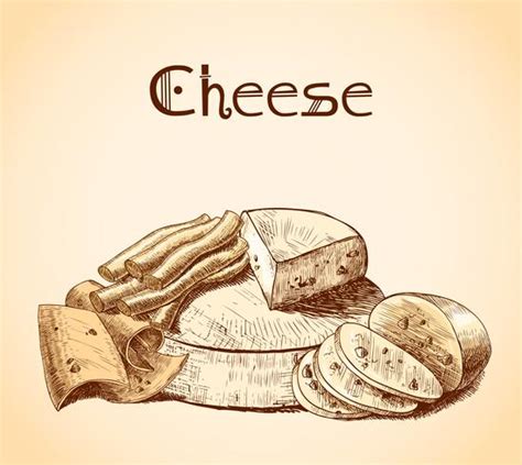 Cheese sketch poster 460798 Vector Art at Vecteezy