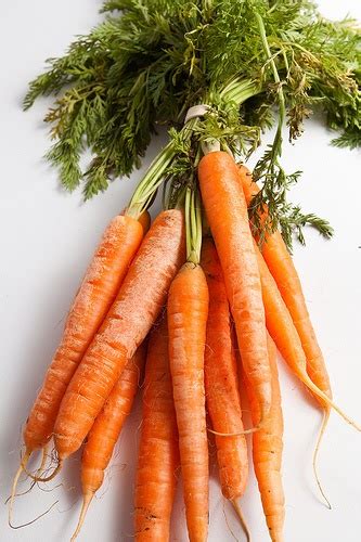 Tech Transformation: Defining the "best" (or, we all need some tasty carrots)