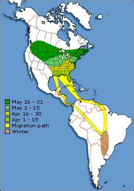 Focal Species, Migratory | Great Lakes Wind Truth