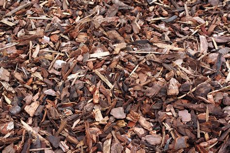 What is the Best Mulch? Benefits and Drawbacks of Various Mulch Materials