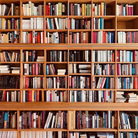 Organizing Books: How Authors and BookTokkers Arrange Their Shelves