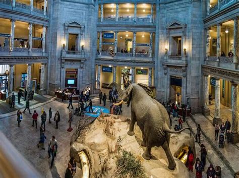 31 Most Visited Museums In The USA: TripHobo