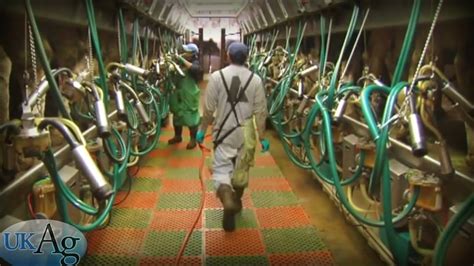 Milking Procedures for Maximum Milk Quality - YouTube