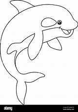 Killer Whale Coloring Page For Kids Stock Vector Image & Art  Alamy sketch template