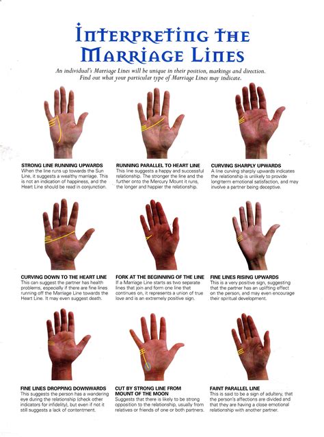 Interpreting the marriage line | Palmistry, Palm reading, Palmistry reading