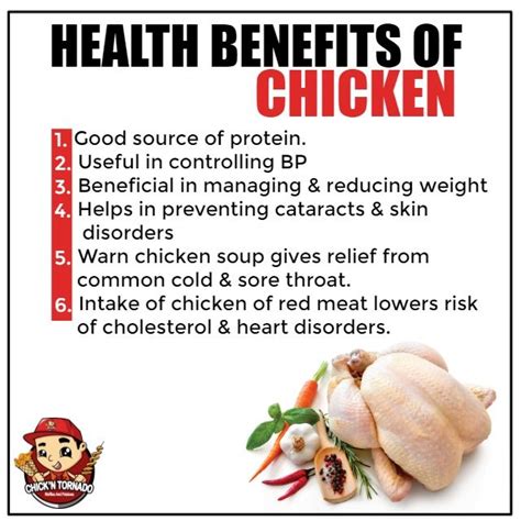 Which Part Of Chicken Is Good For Health? | chocho recipes