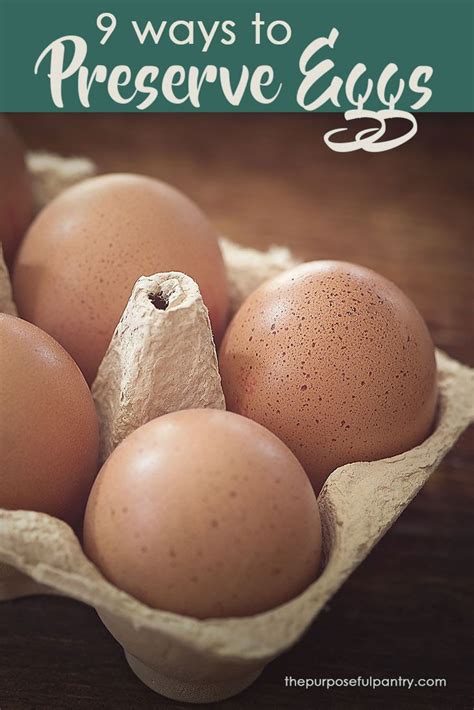 9 Ways to Preserve Eggs (Safely) | Long term food storage, Canned food storage, Preserving eggs