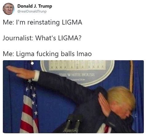 18 Ligma Memes That'll Keep You From Ever Asking "What's Ligma ...