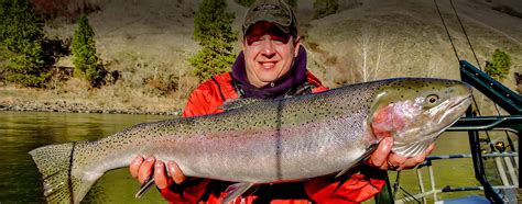 Clearwater River Steelhead Fishing Guides - Snake River Steelhead