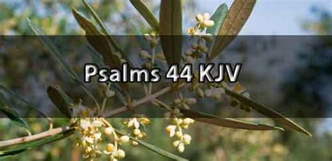 Psalm 44 KJV - Psalm 44 King James Version (KJV) | End Time Message