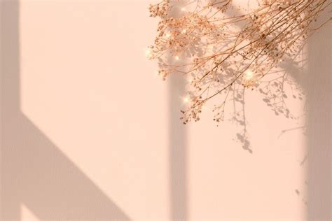 Beige Sparkle Dried Flower Image Background